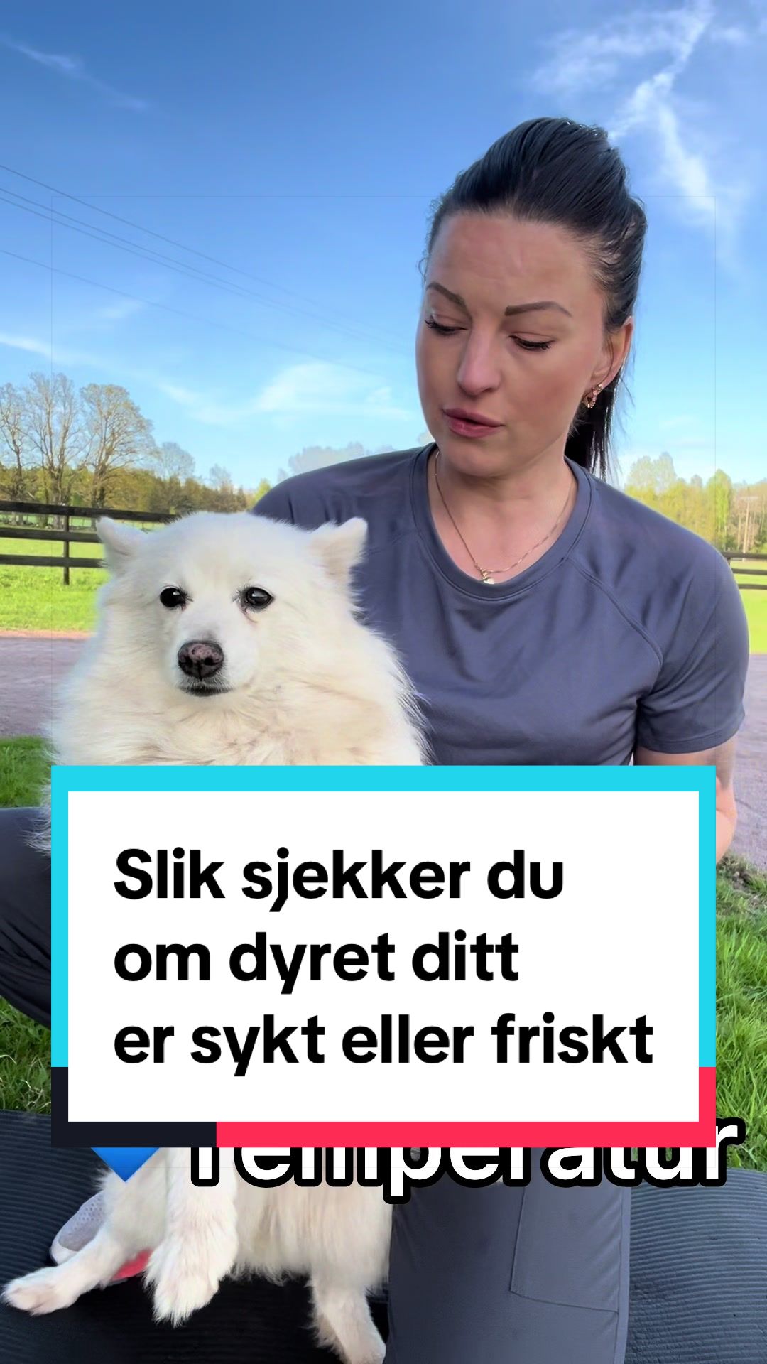 @dr.aya.vet