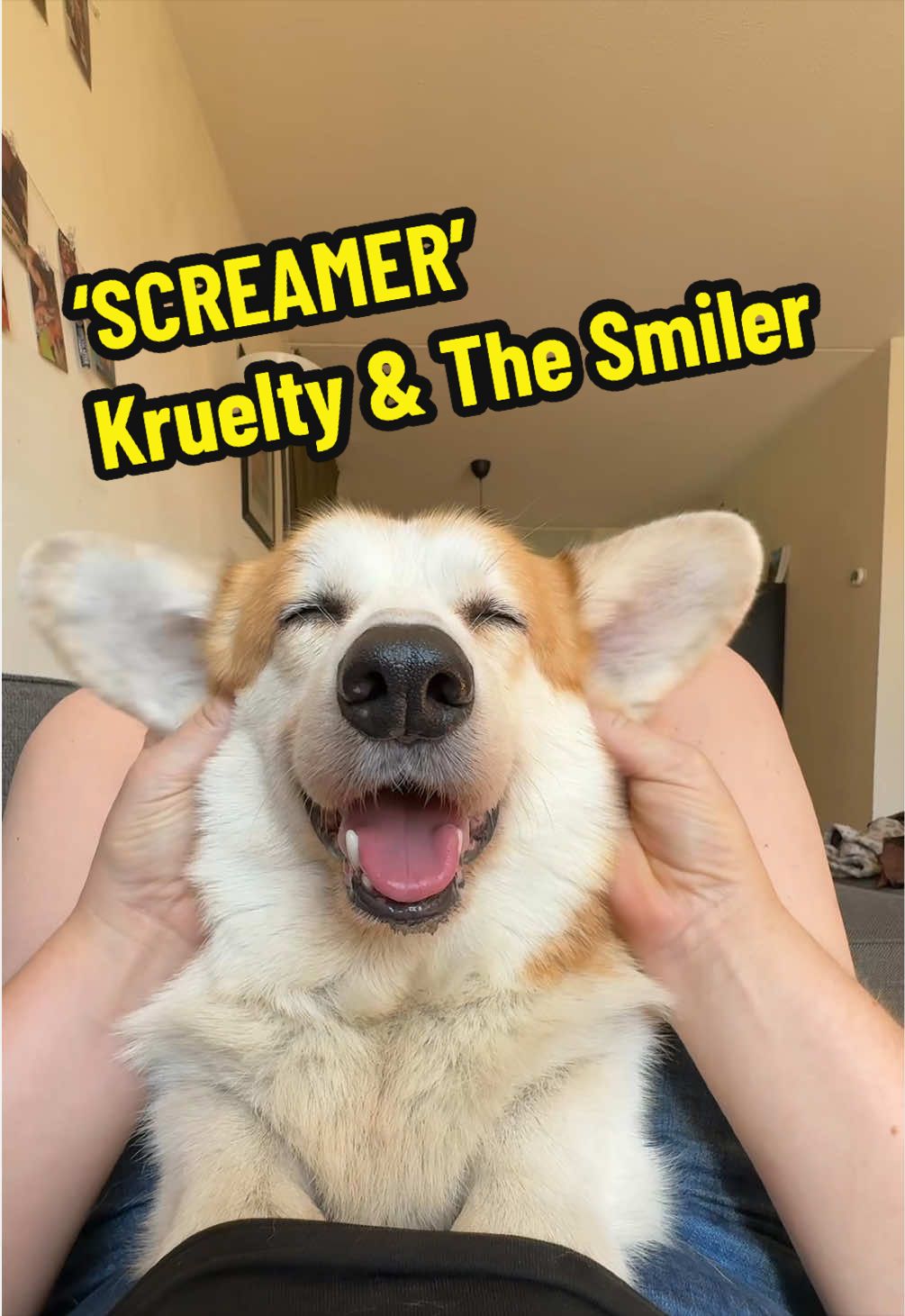 @Kickroll Corgi Charlie 🐶🚀