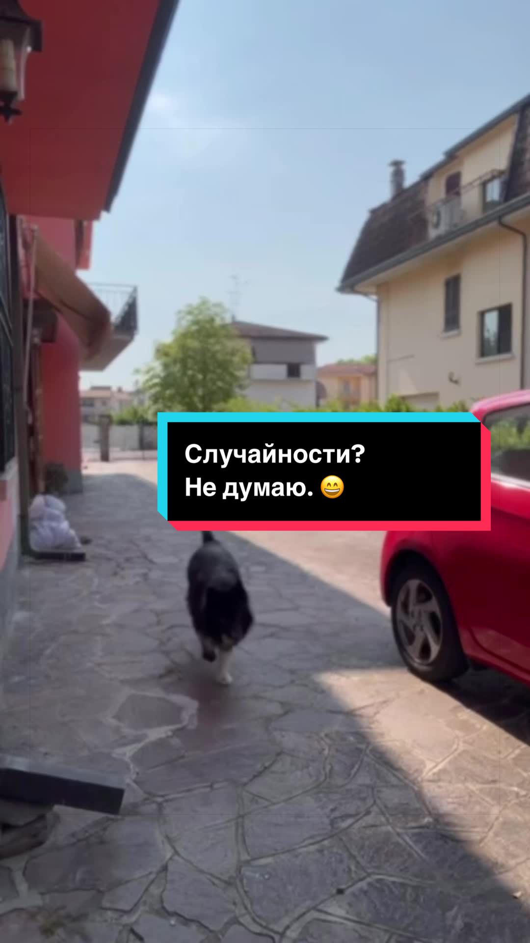 @Виктория Силина