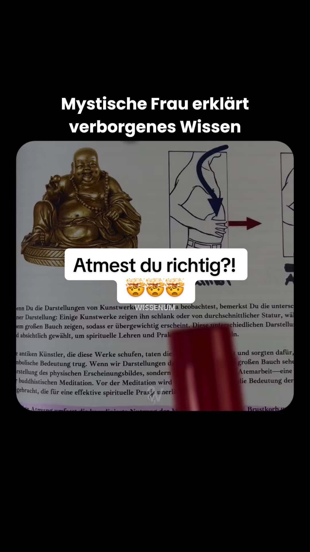 @thewissenum
