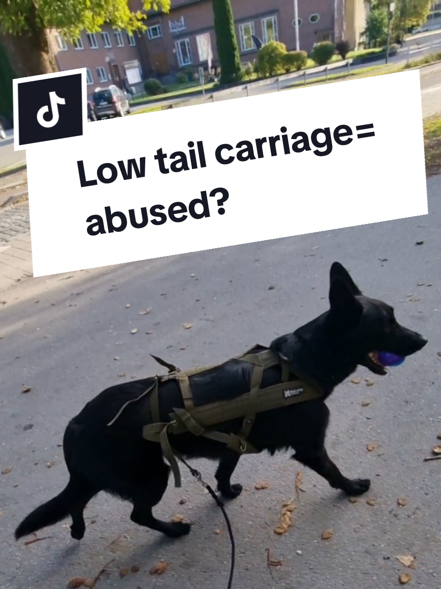 @offbrandgsd