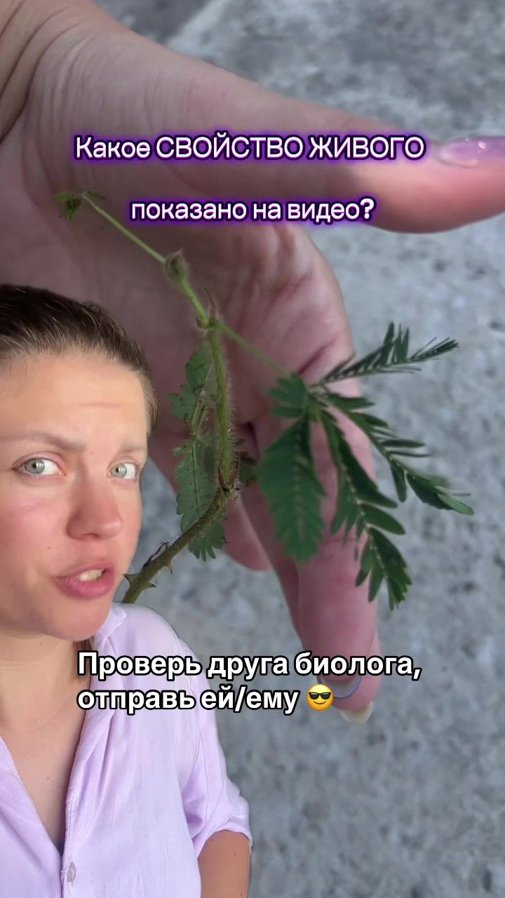 @Лизоцитоз