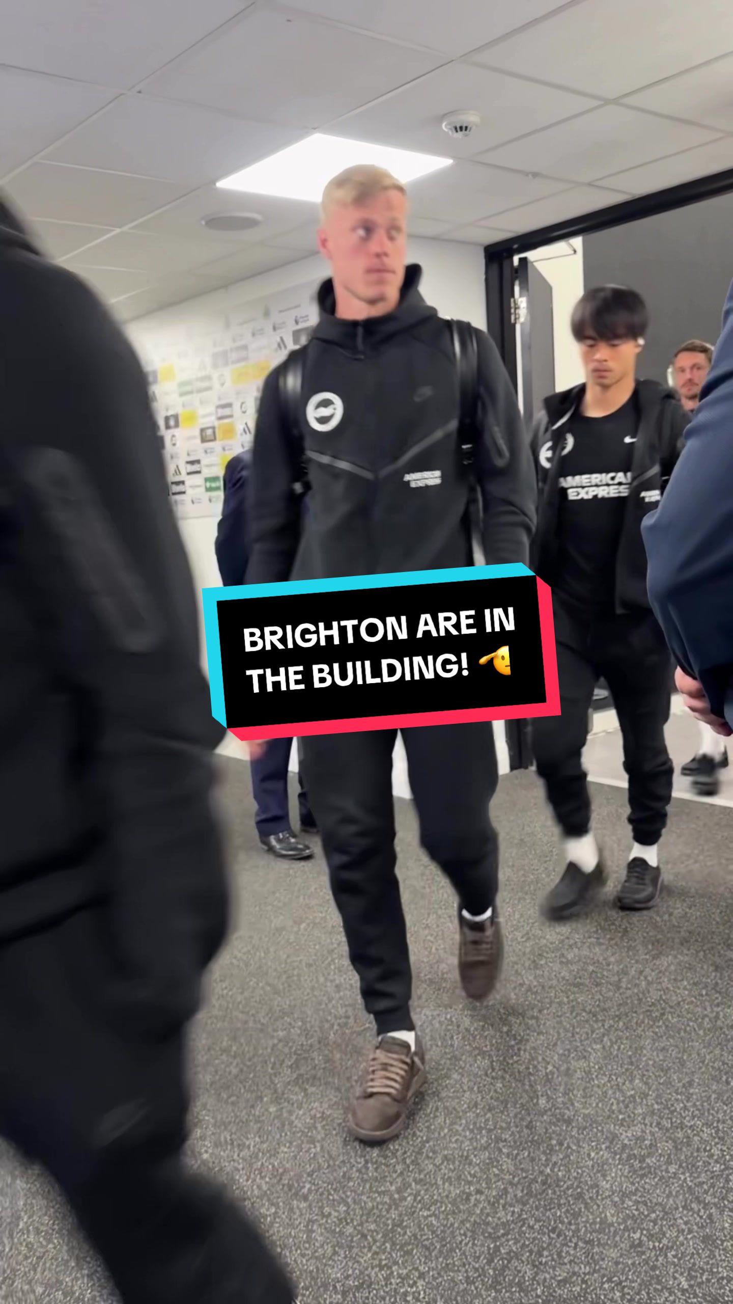 @Brighton & Hove Albion FC