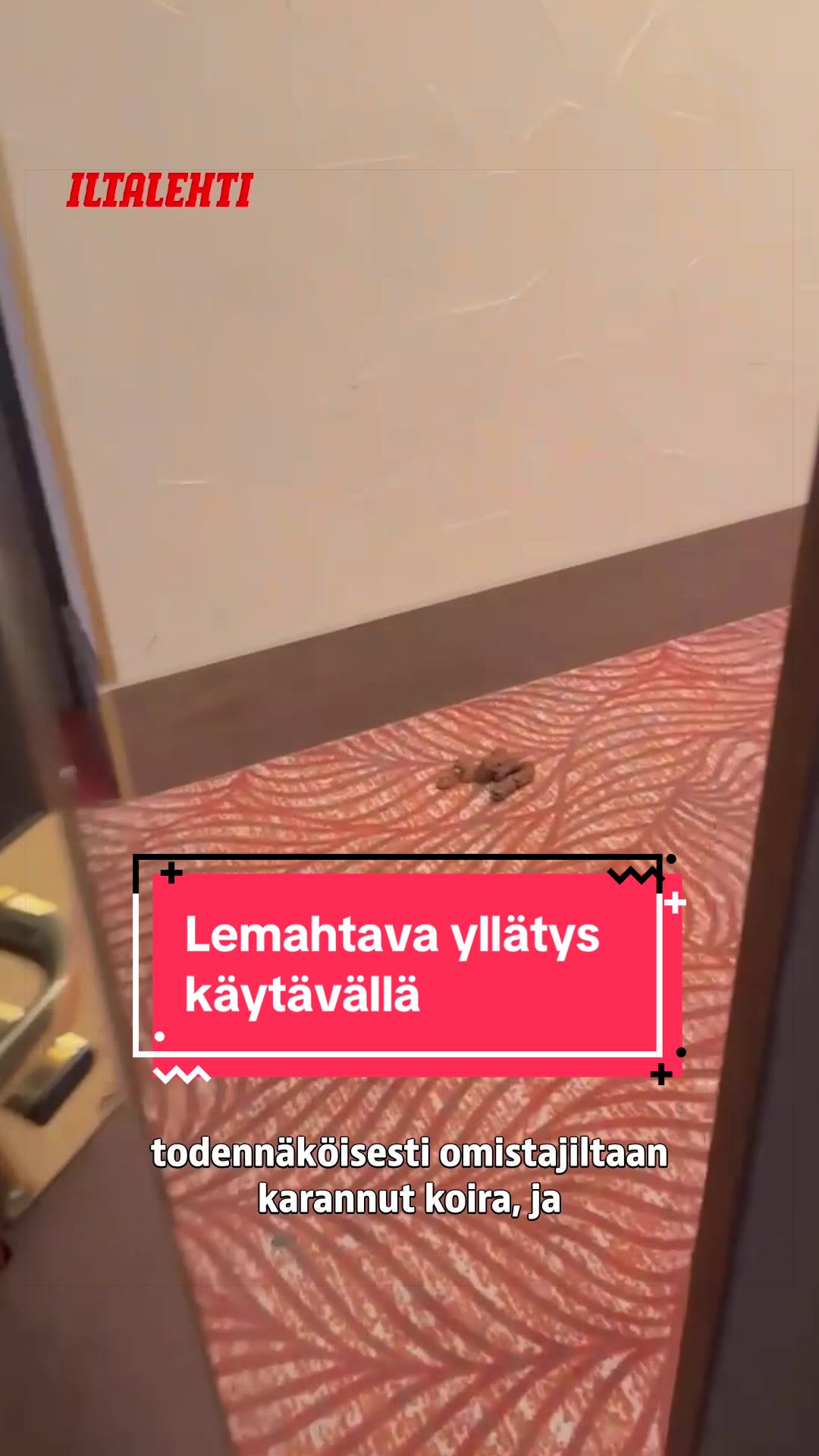 @Iltalehti