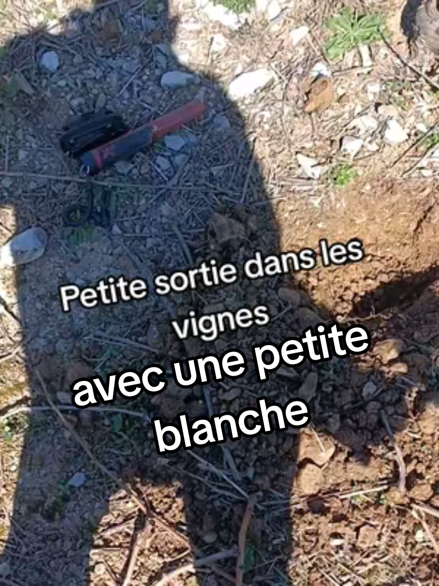 @DétecteurDeTrésor💥