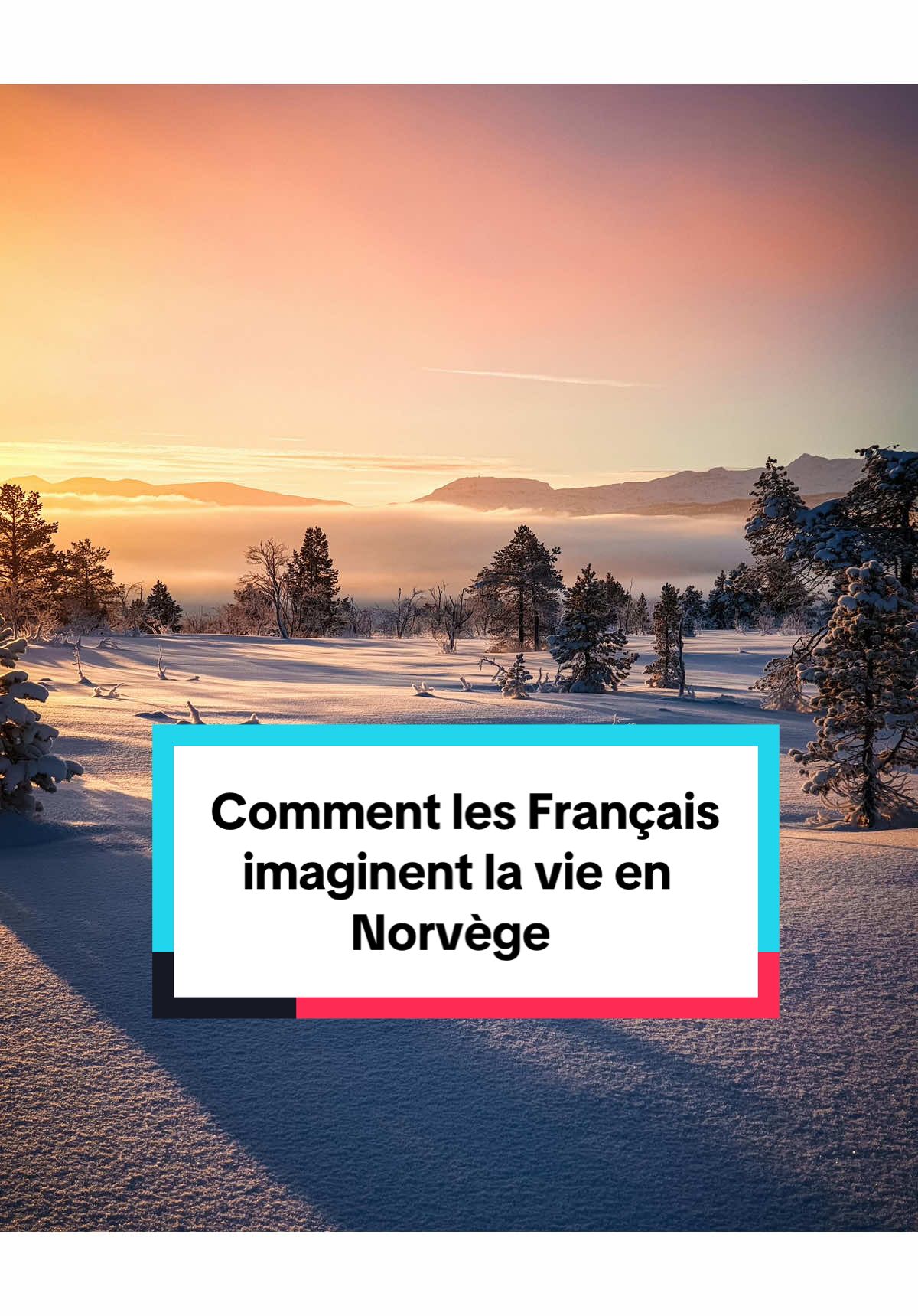 @Tout savoir sur la Norv&egrave;ge🇳🇴