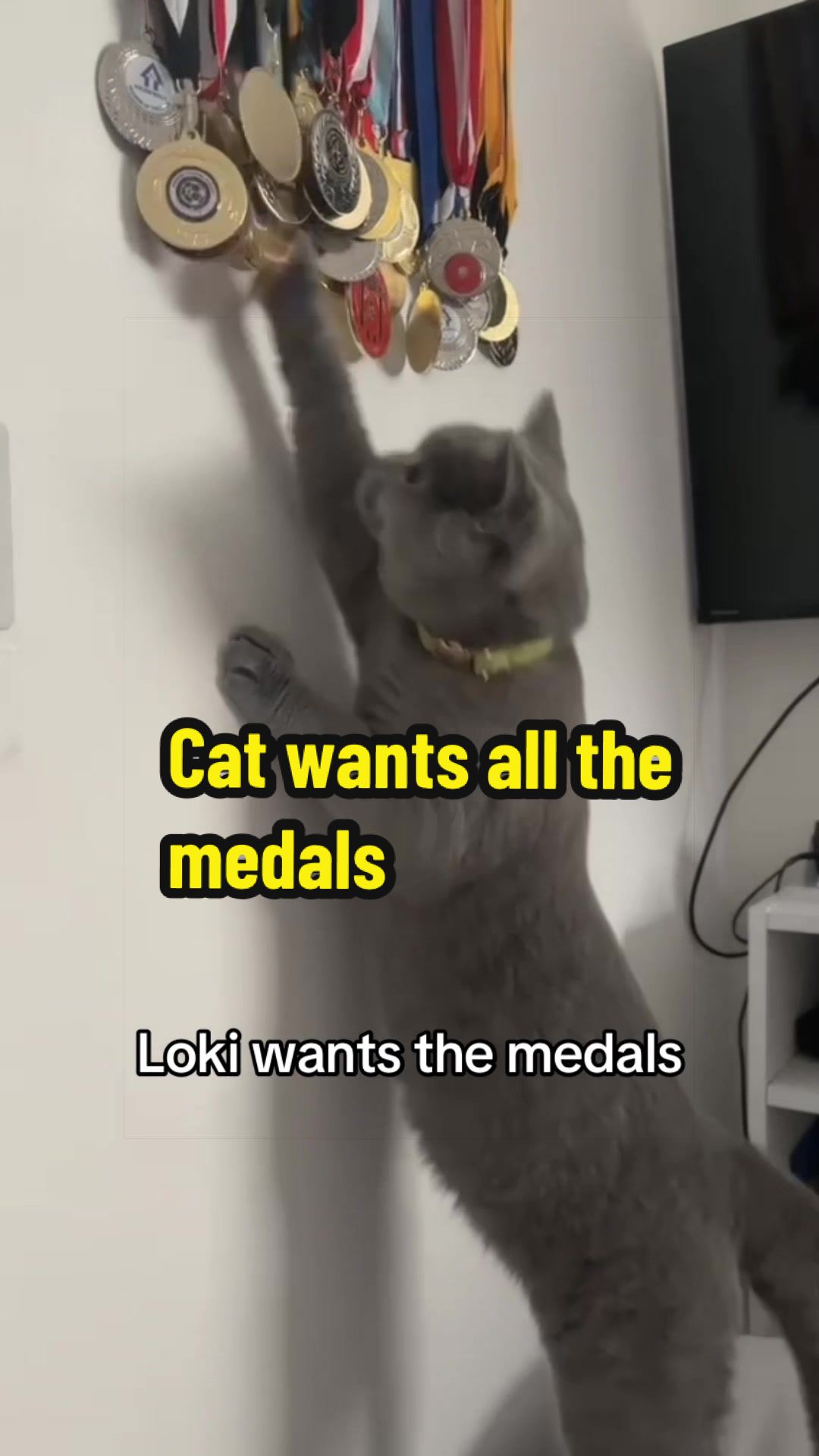 @Padcast