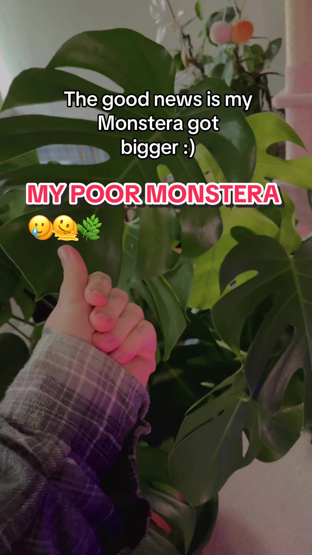 @Leo