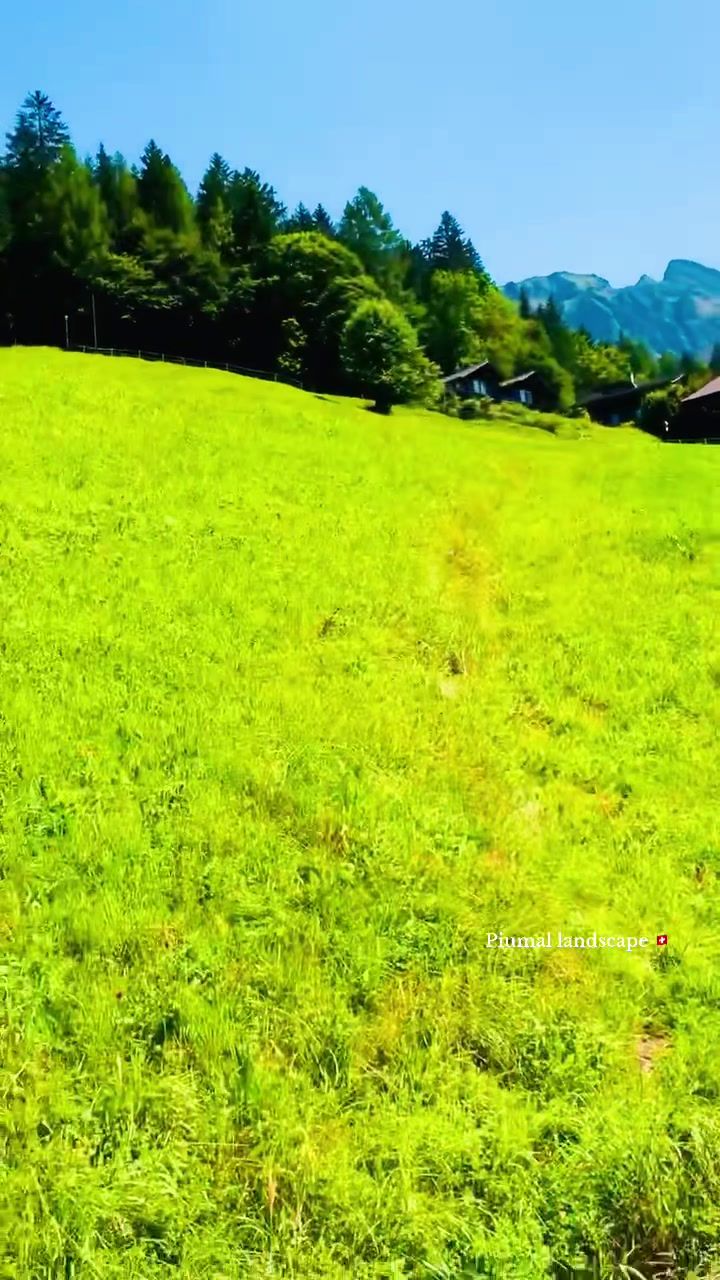 @🇨🇭𝓟𝓲𝓾𝓶𝓪𝓵 ✍️