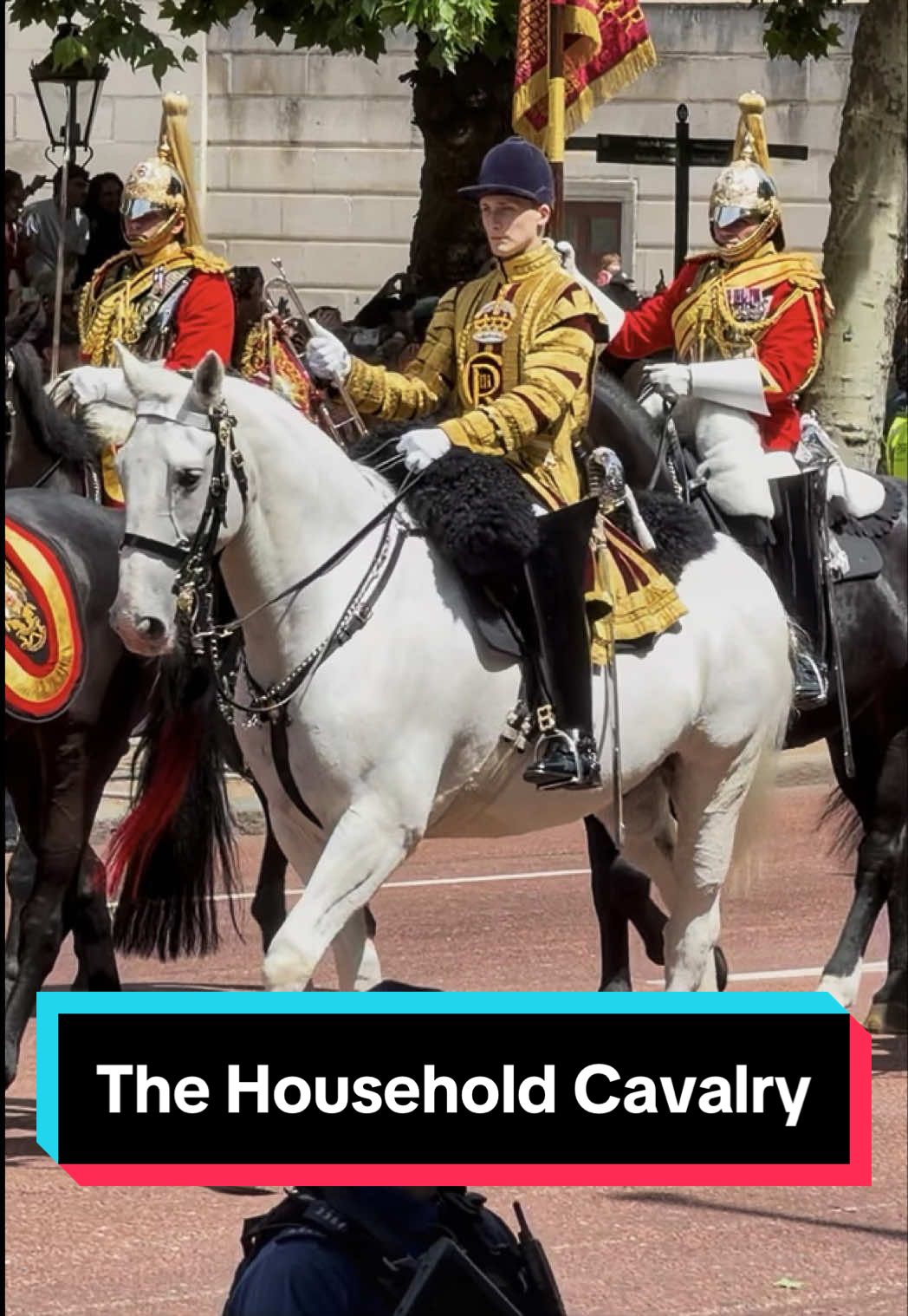 @King’s Guard Tours