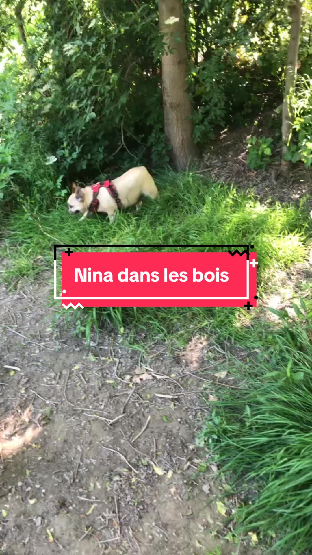 @les aventures de Nina