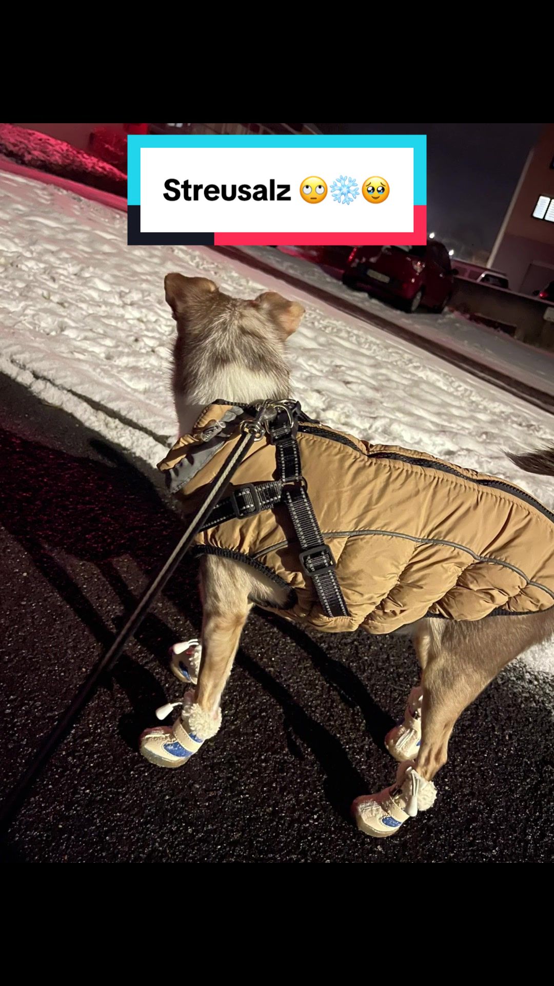@ironia_occulta