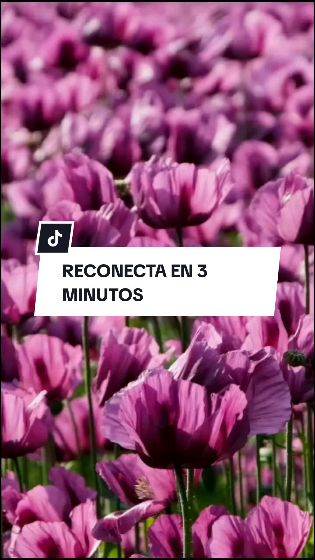 @Espacio para la calma