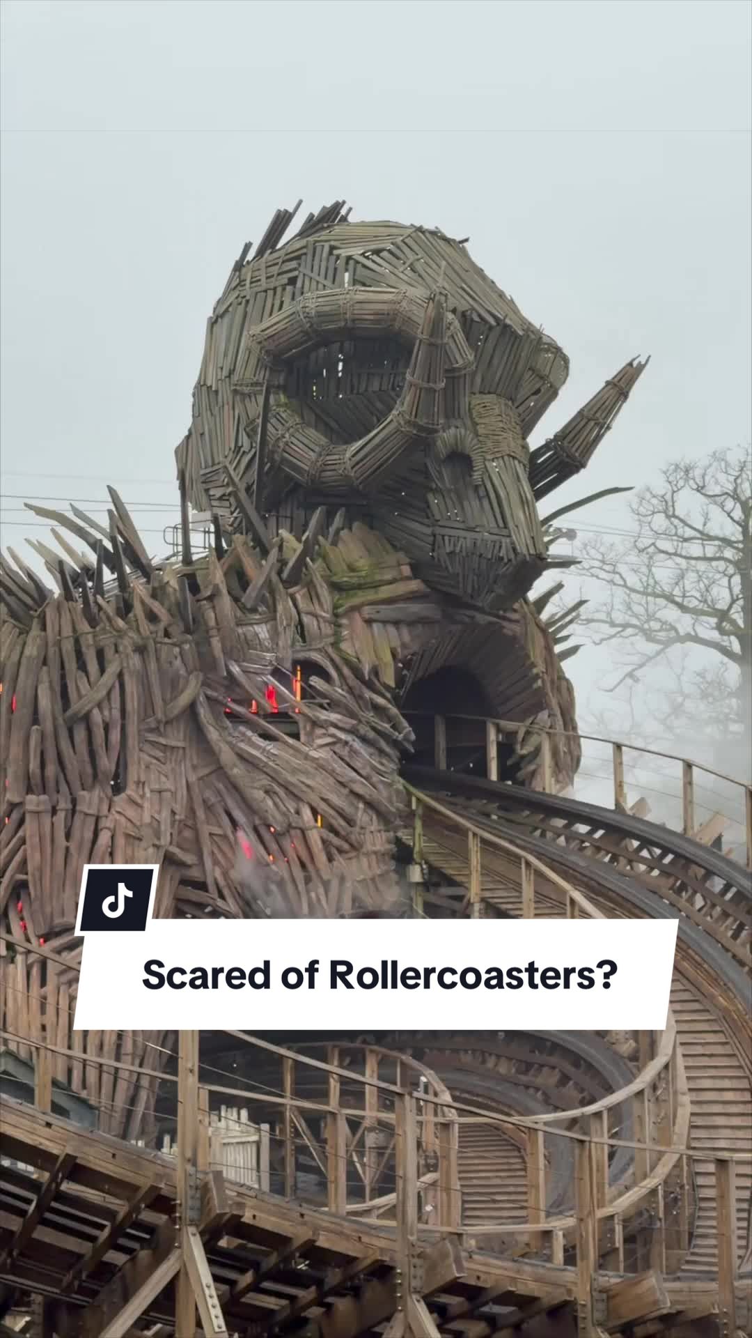 @coasterchelsey
