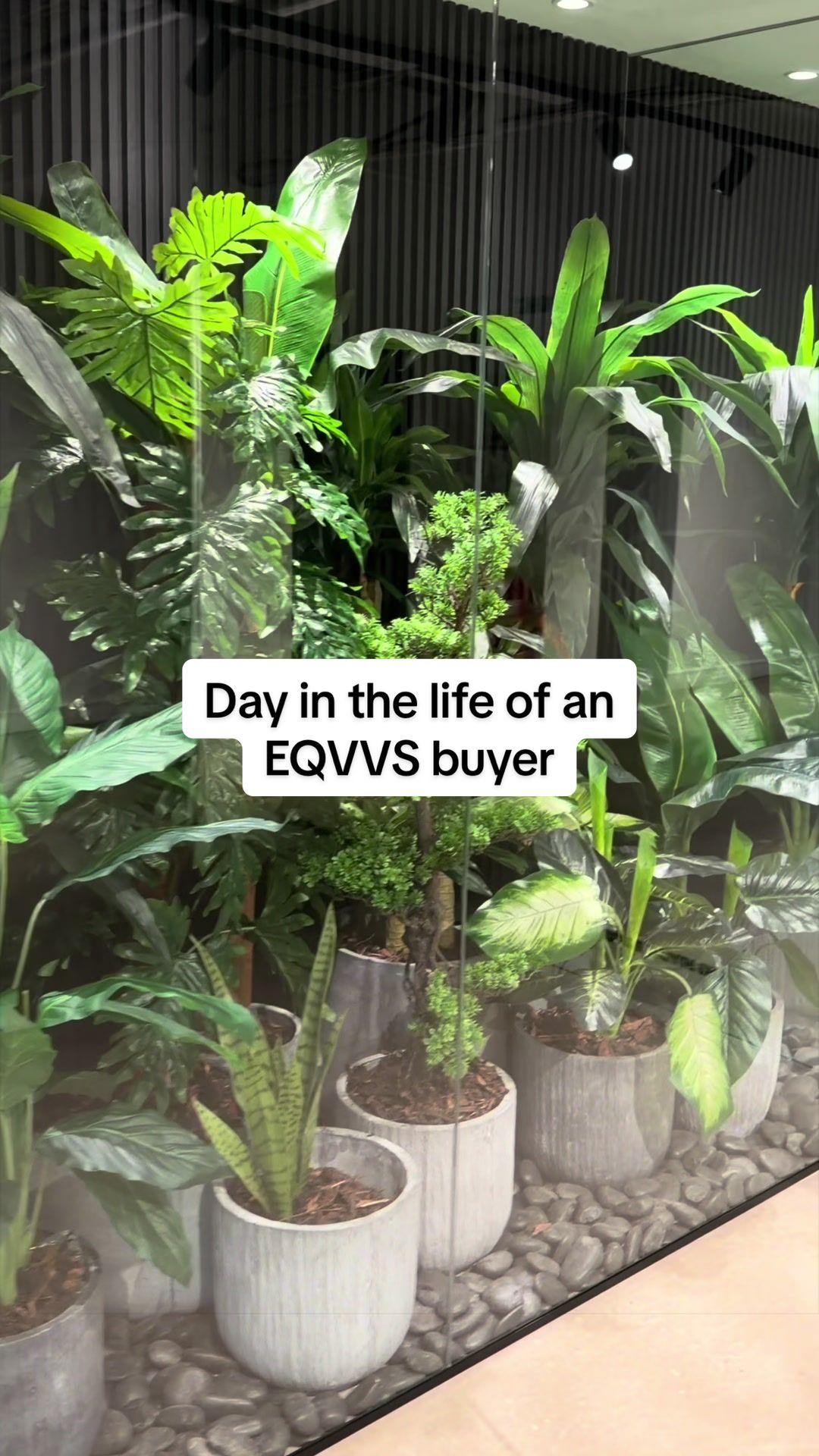 @EQVVS