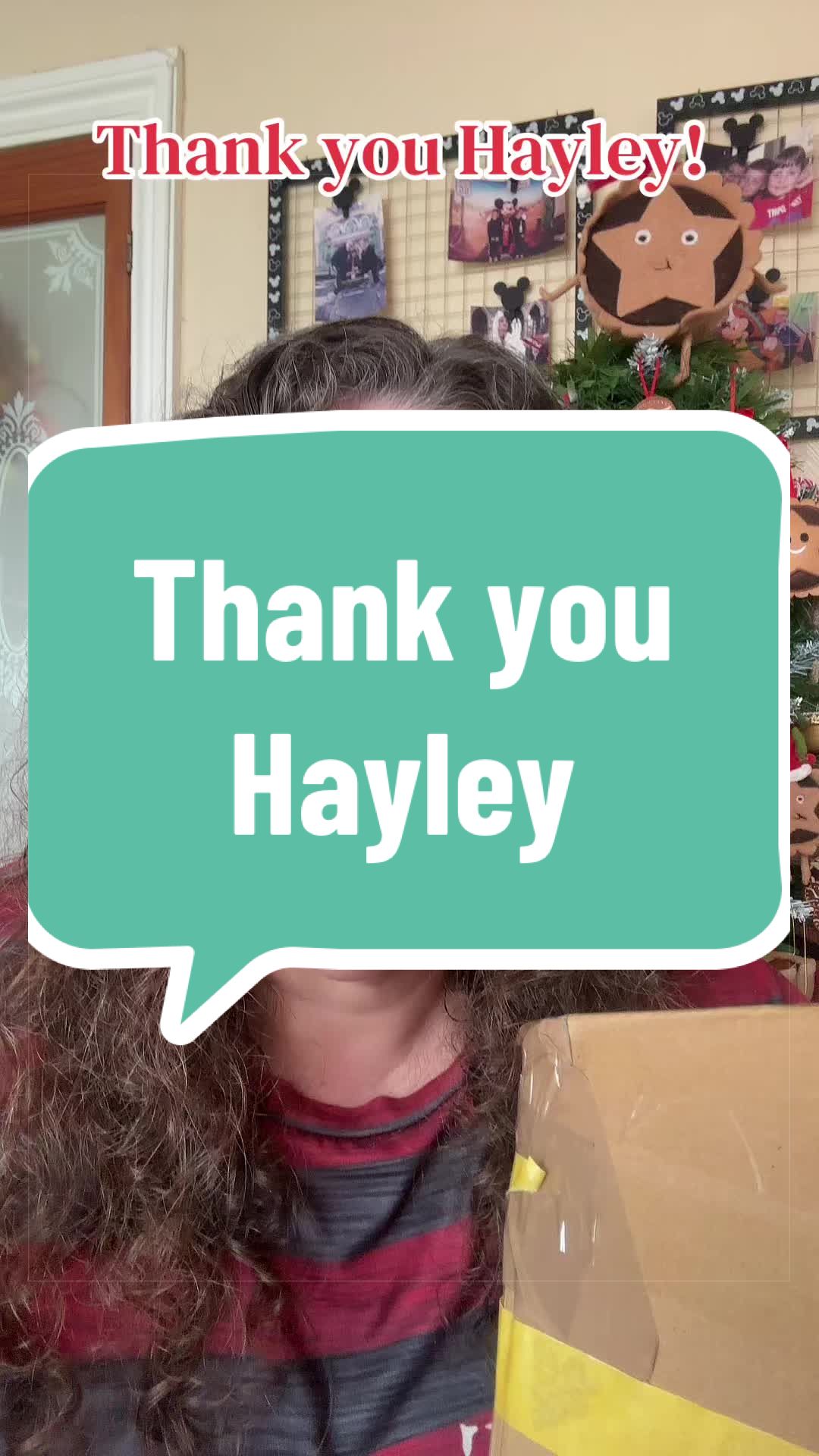 @Christmas&DisneyCrazyLady