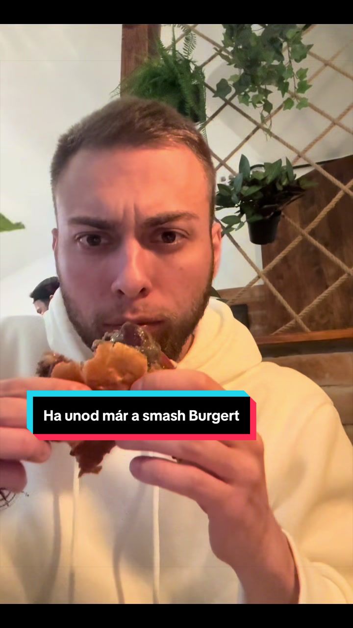 @Steve Vibes