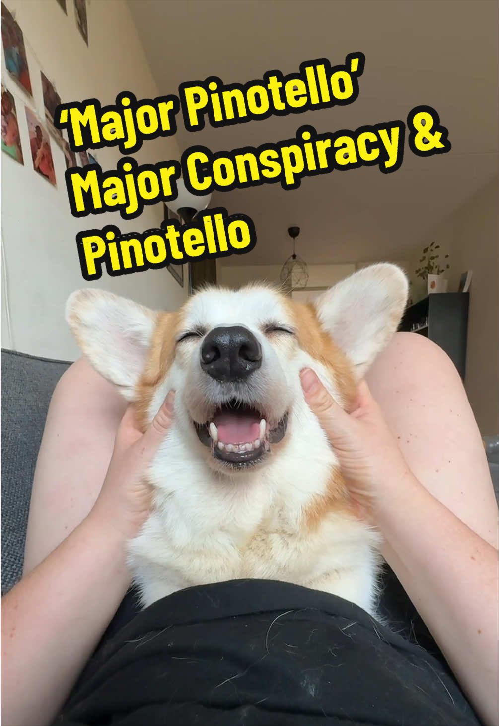 @Kickroll Corgi Charlie ๐ถ๐