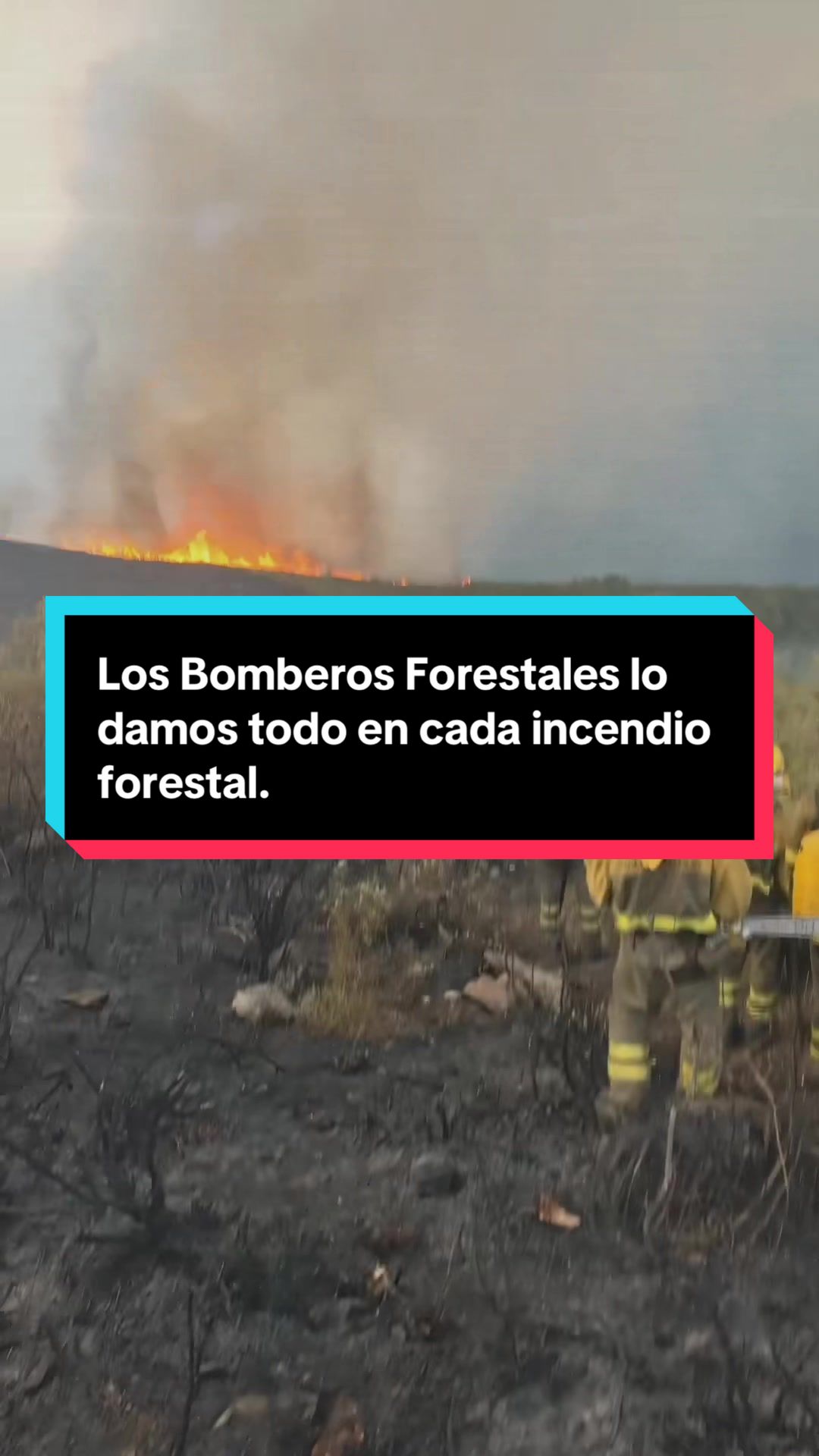 @Bombero Forestal