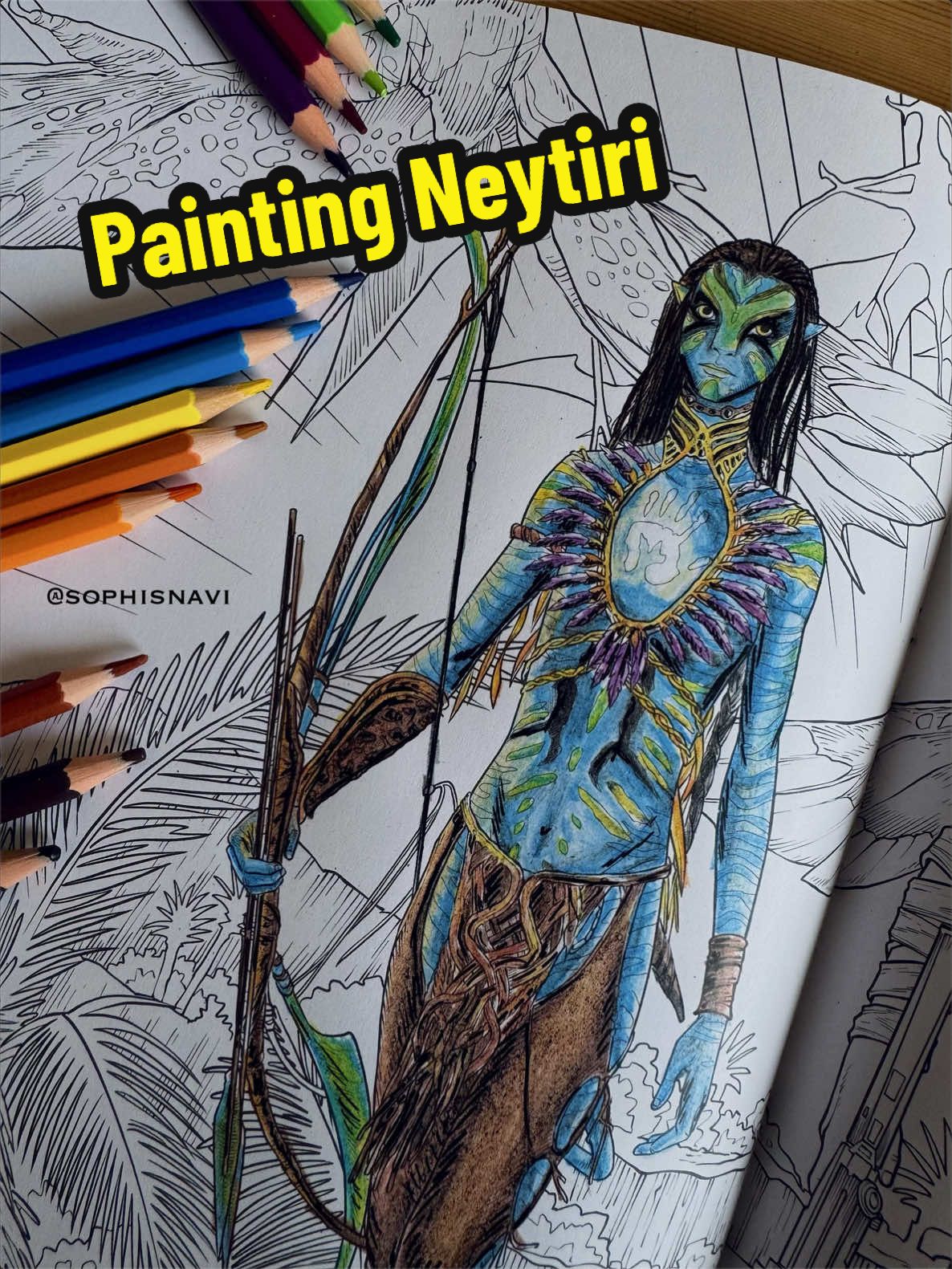 @sophisnavi