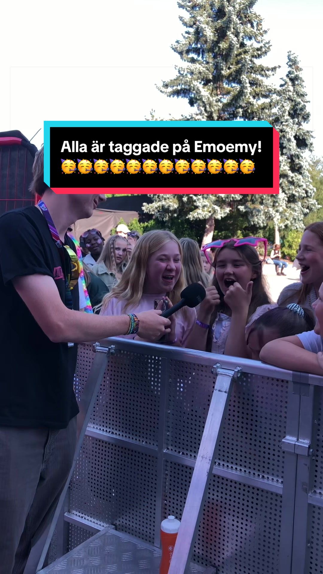 @Alive Festival