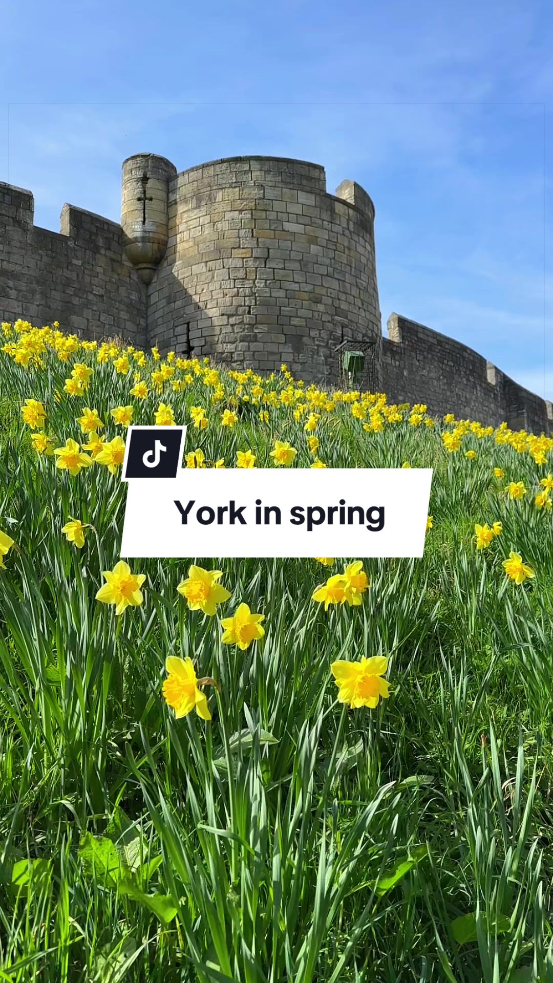 @The Yorkshireman