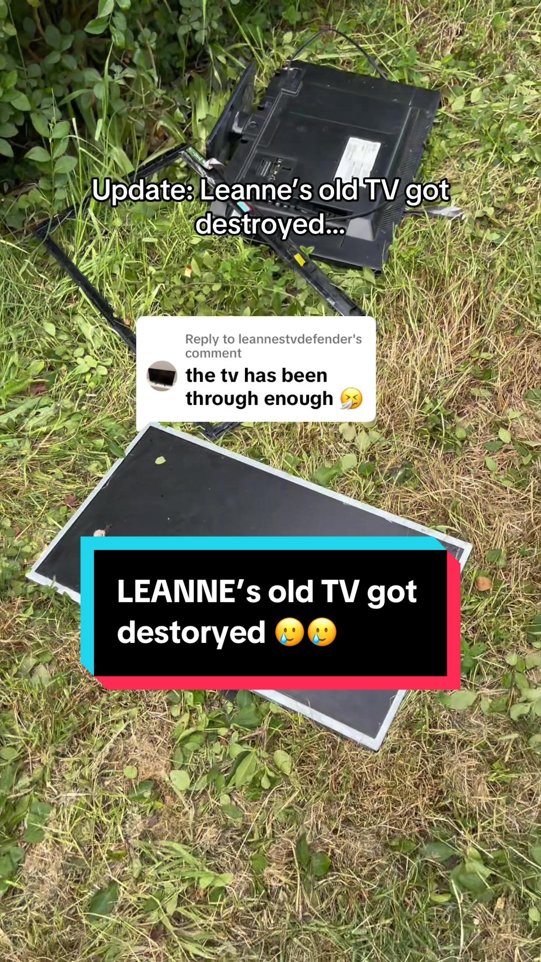 @Stewie