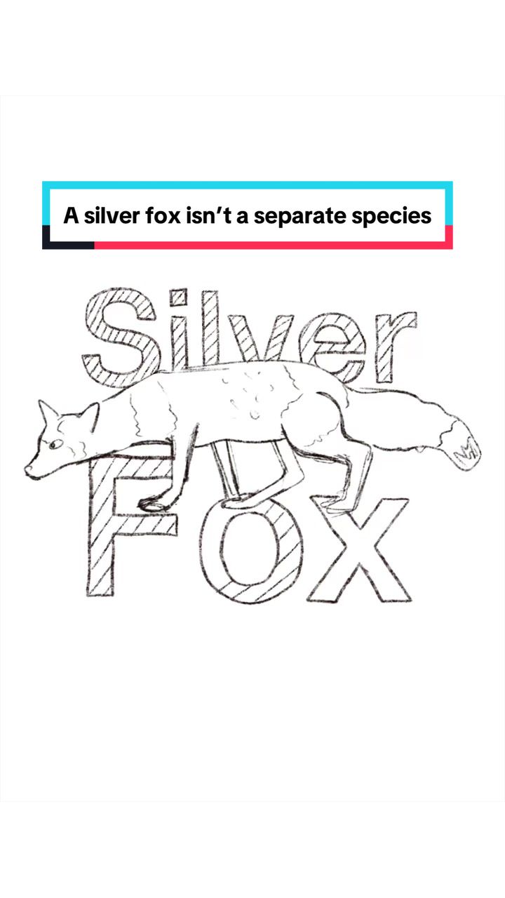 @illustration explains