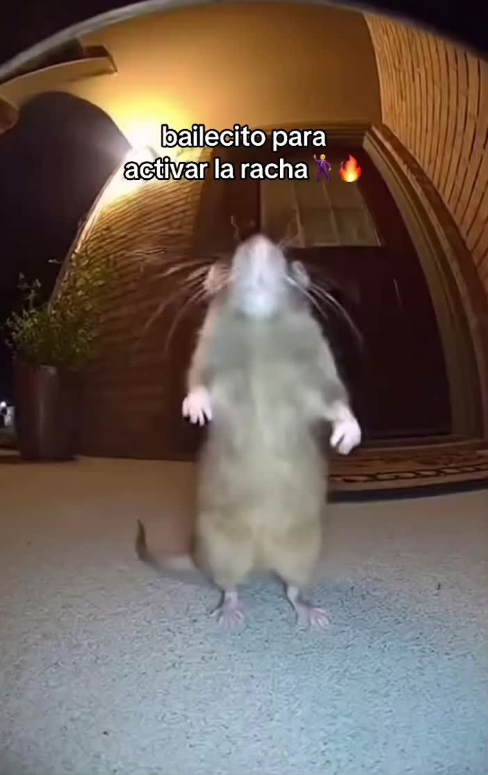 @Dime en Privado "Empanadas"