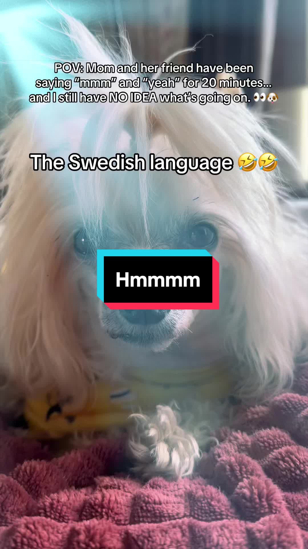 @🇸🇪🌸FrejaThePowderPuff🌸🇸🇪