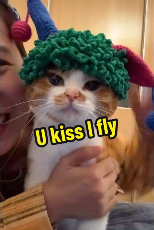 @DIY kitten