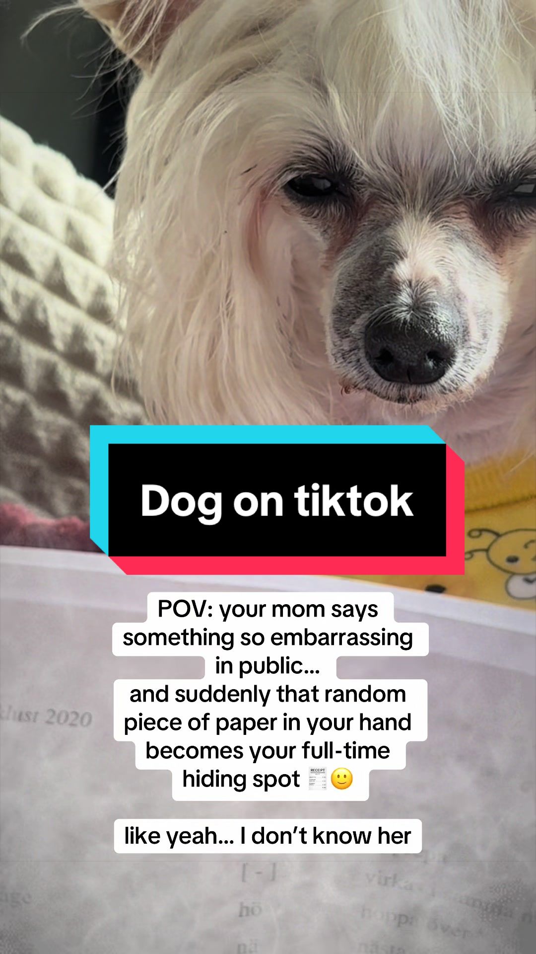 @🇸🇪🌸FrejaThePowderPuff🌸🇸🇪