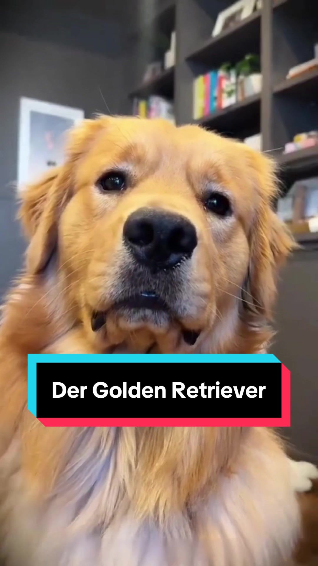 @Tiere kennen🐾
