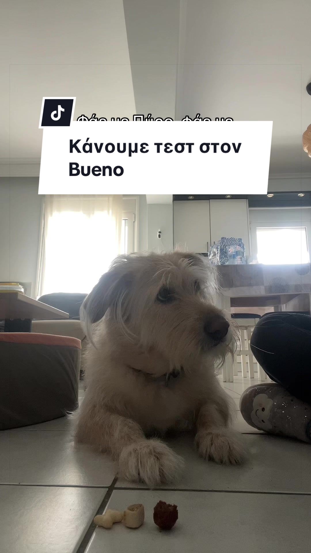 @Angie & Bueno