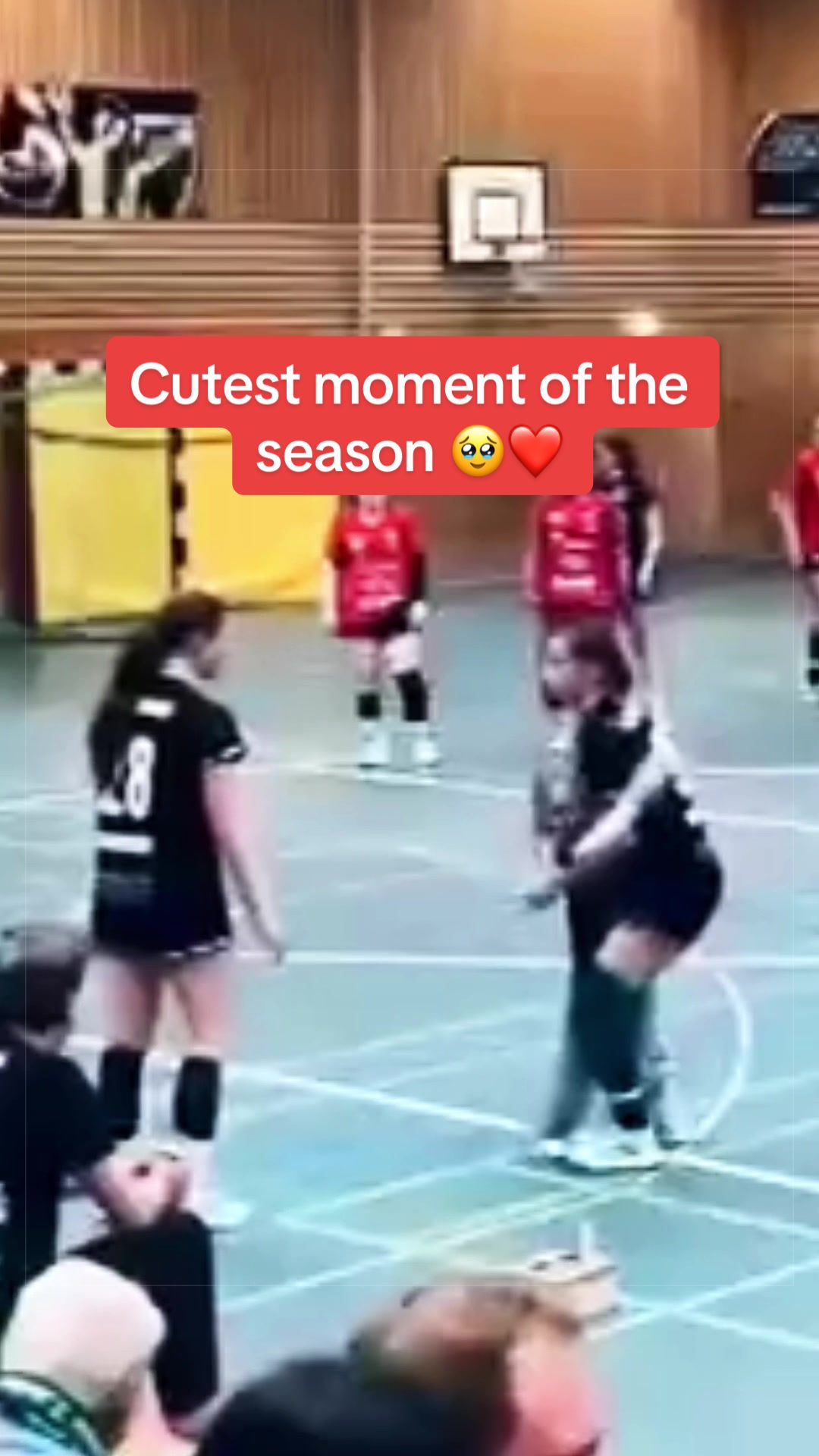@Home of Handball