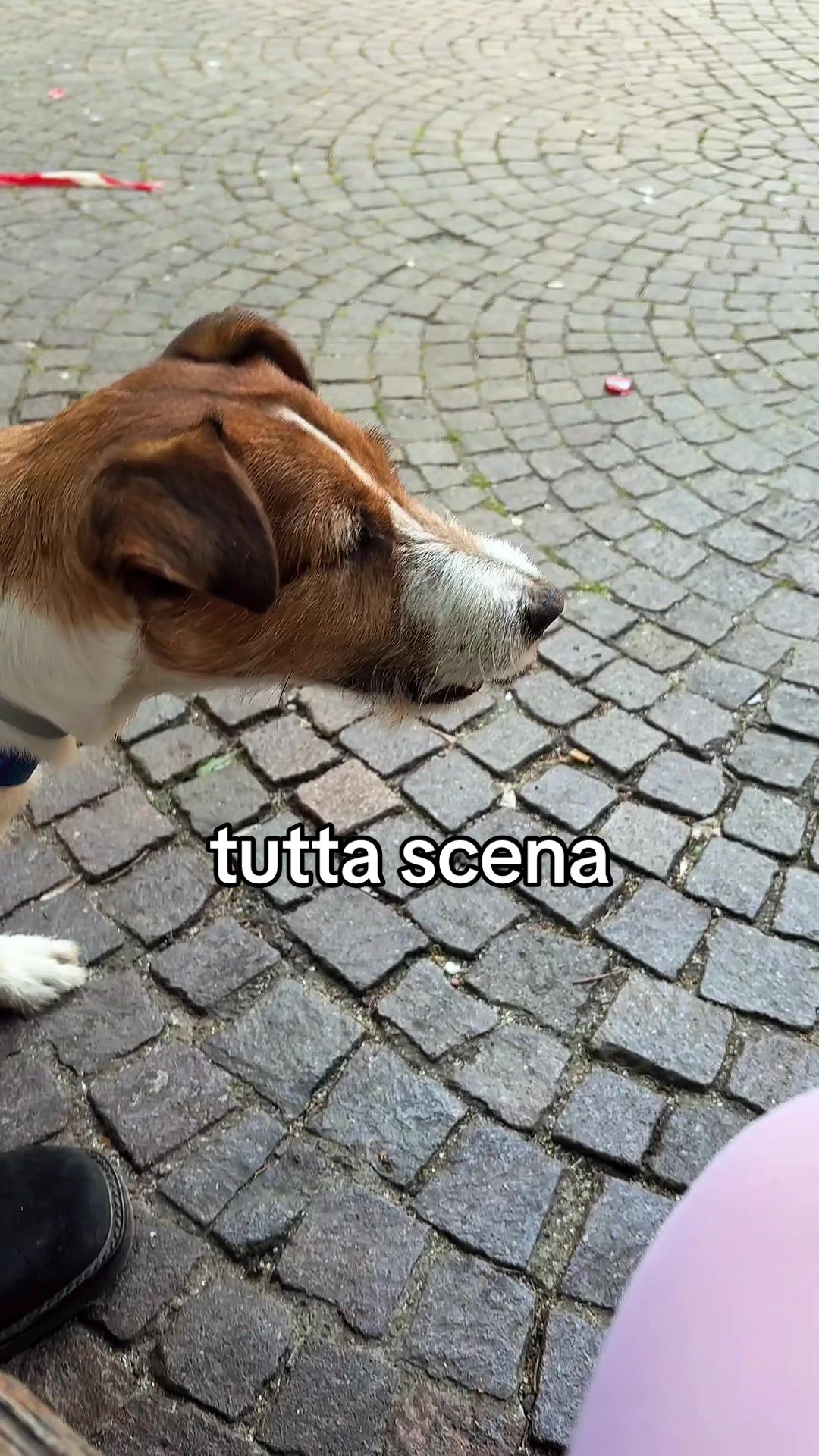 @ROBERTA GIALLO