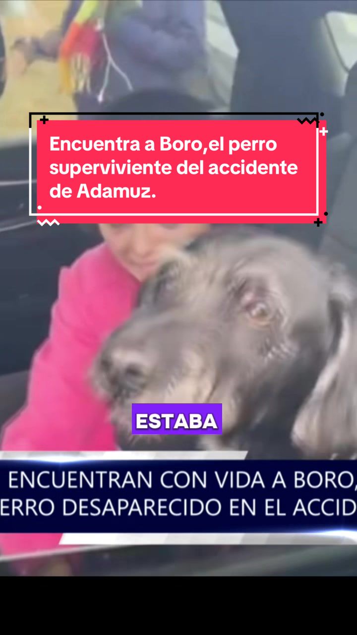@Sorialfredo