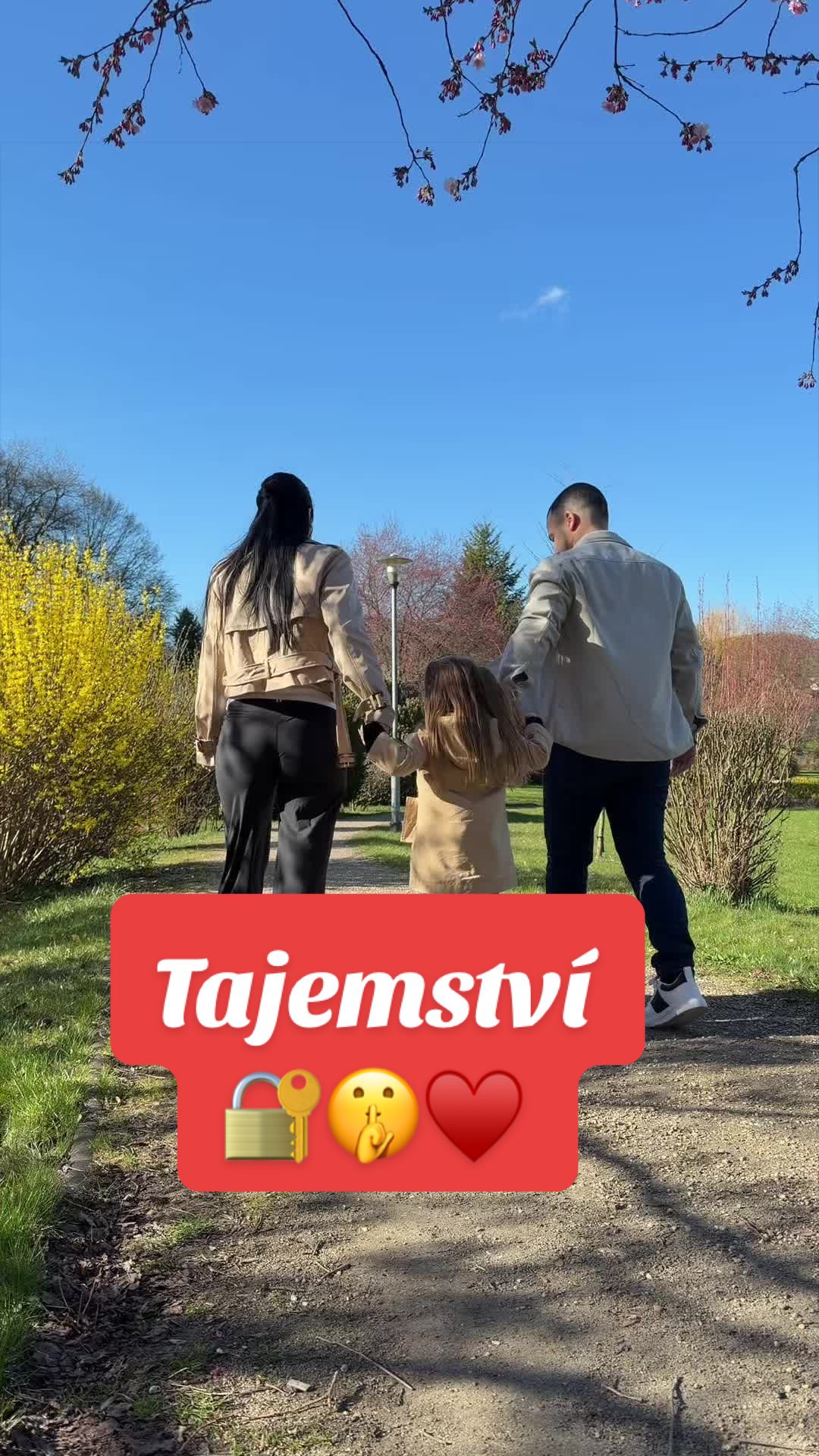 @Nikolabundzik