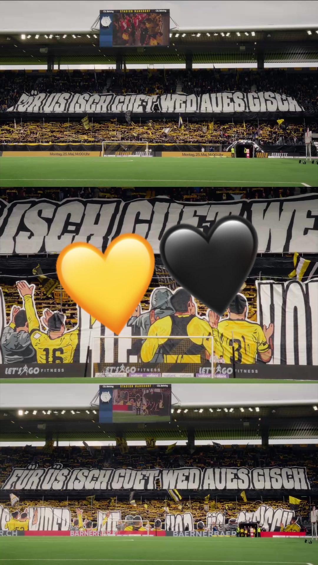 @BSC YOUNG BOYS