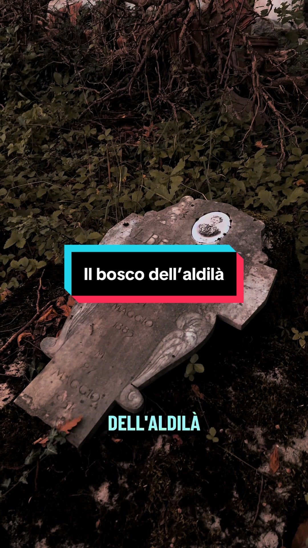 @Alessia Turri
