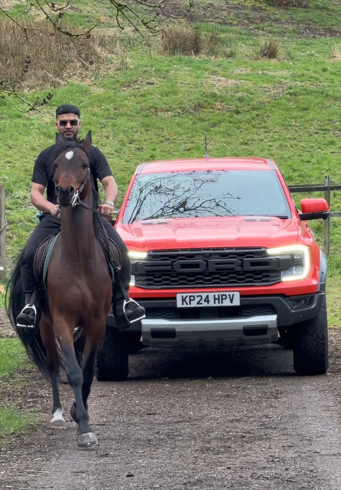 @thekhansarabianstudfarm