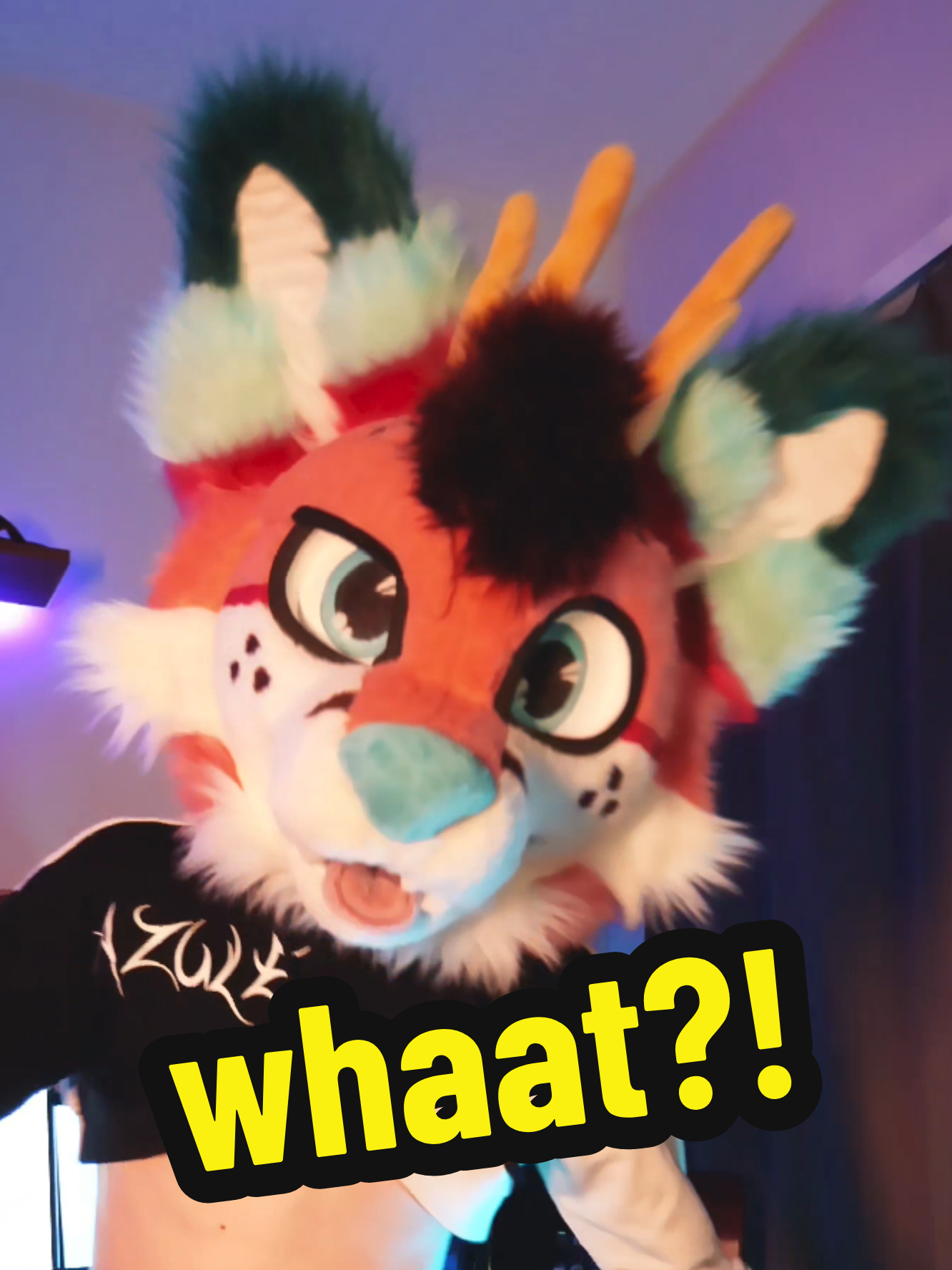 @Hicca 🦊🔜 NFC