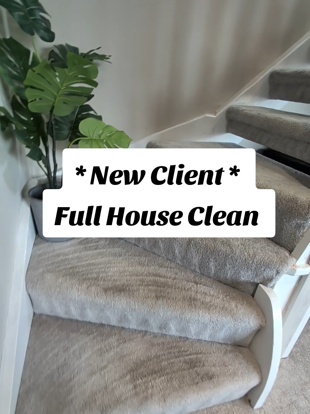 @Chelsey&Briony Clean&Bright