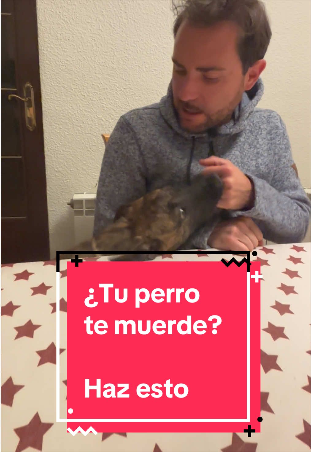 @adican_adiestradorcanino