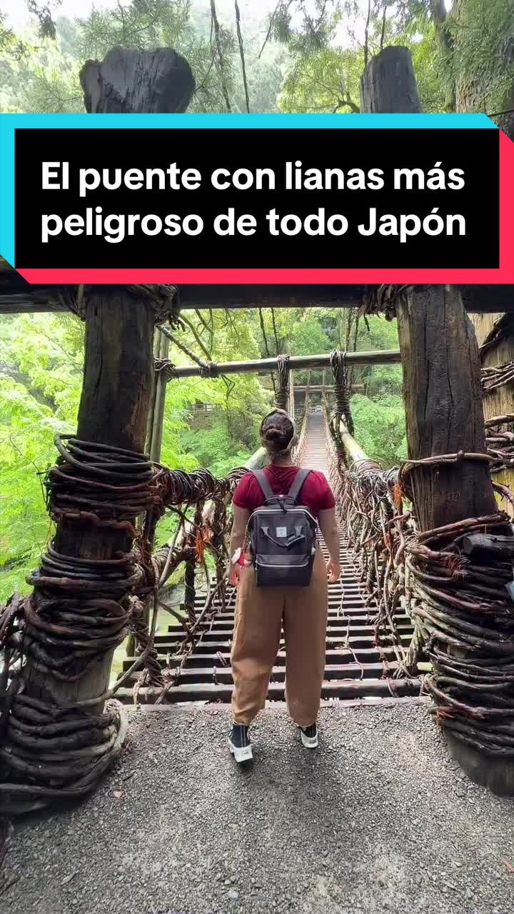 @Jap&oacute;n Alternativo