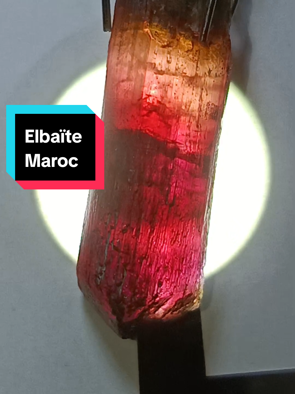 @minerodoc 🇫🇷⛏️🤓⛏️