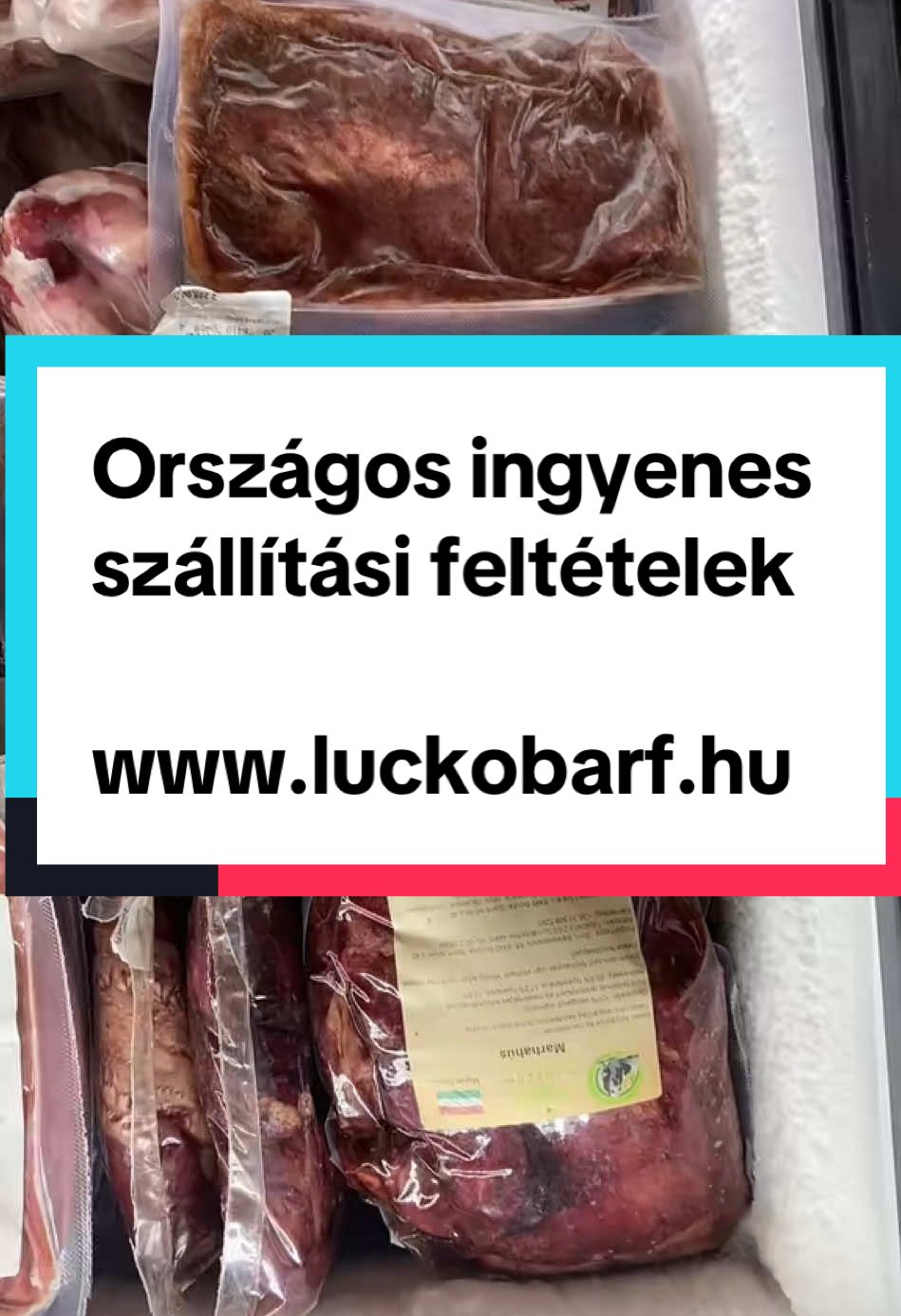 @Lucko Barf & Kutyasüti