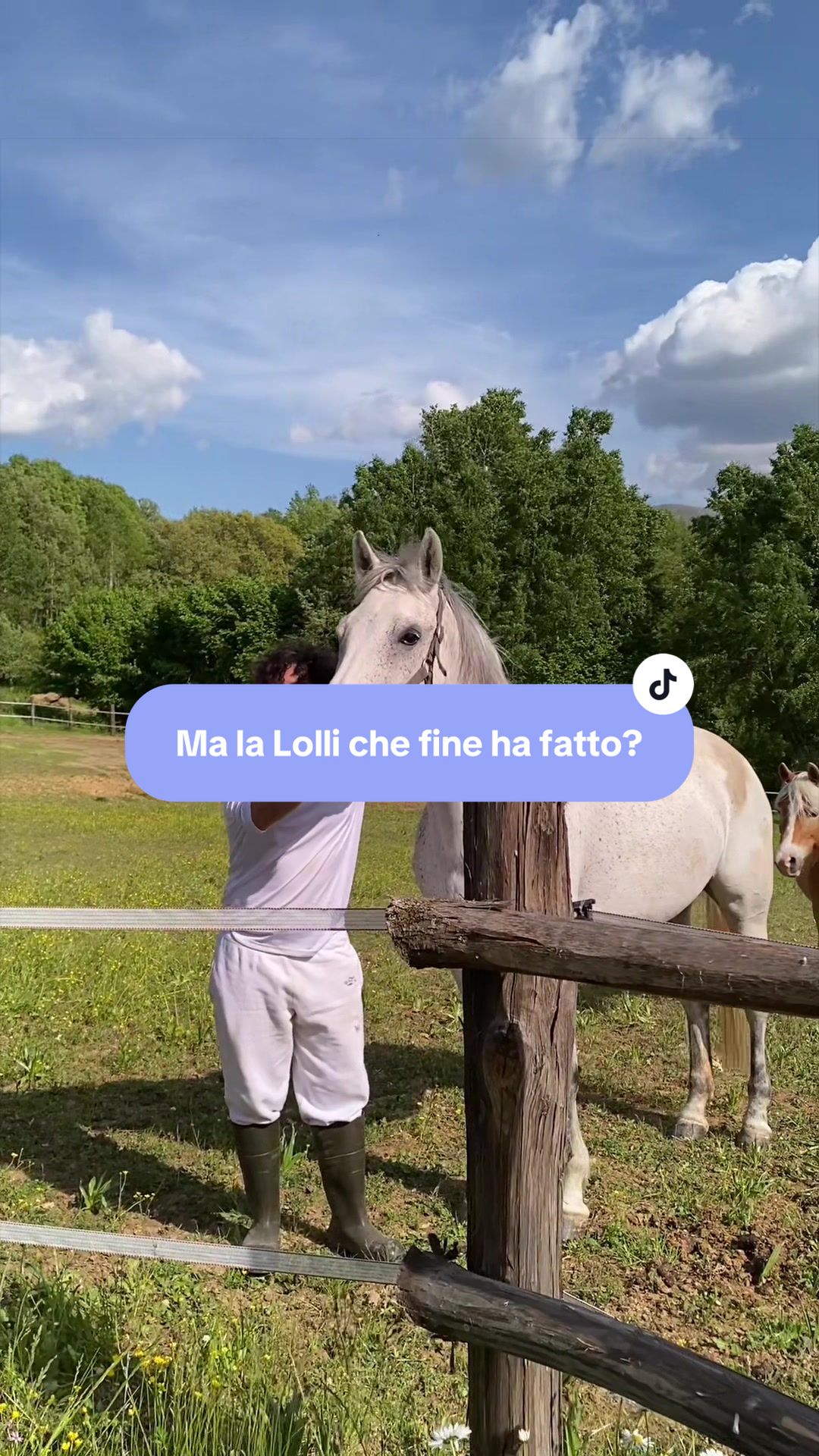 @equestrian_ale