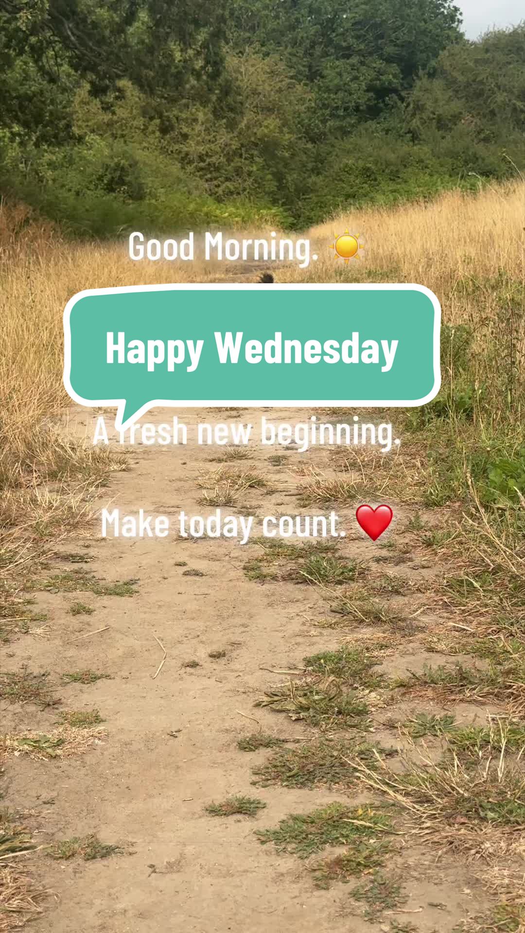 @ramneepy