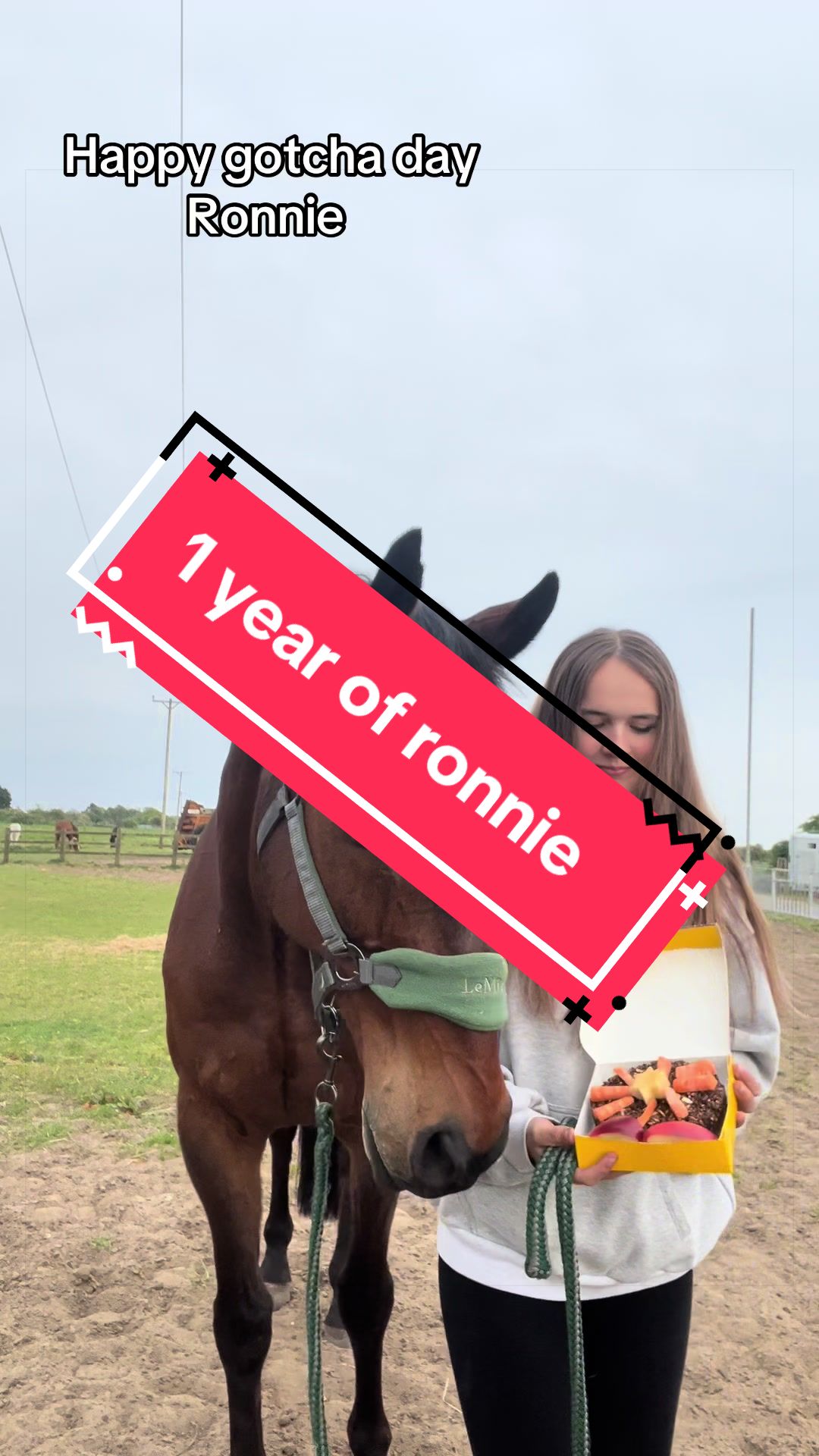 @Ffion & Ronnie 🐴